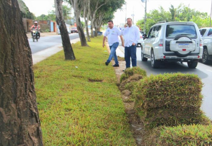 Canteiros da Avenida Ceci cunha recebem plantio de grama